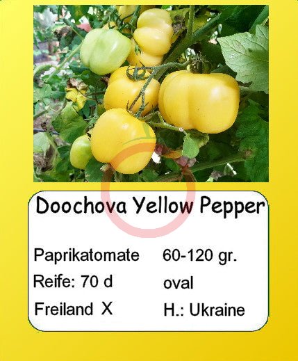 Doochova Yellow Pepper DER TOMATENFLÜSTERER