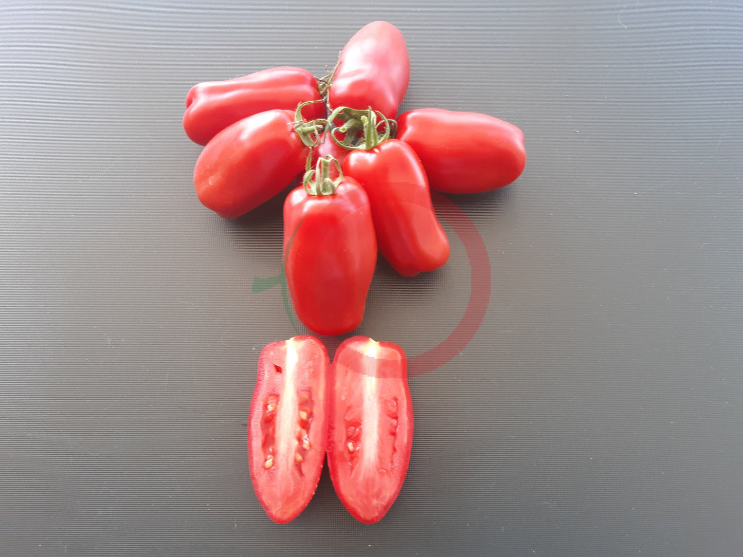 Drova DER TOMATENFLÜSTERER