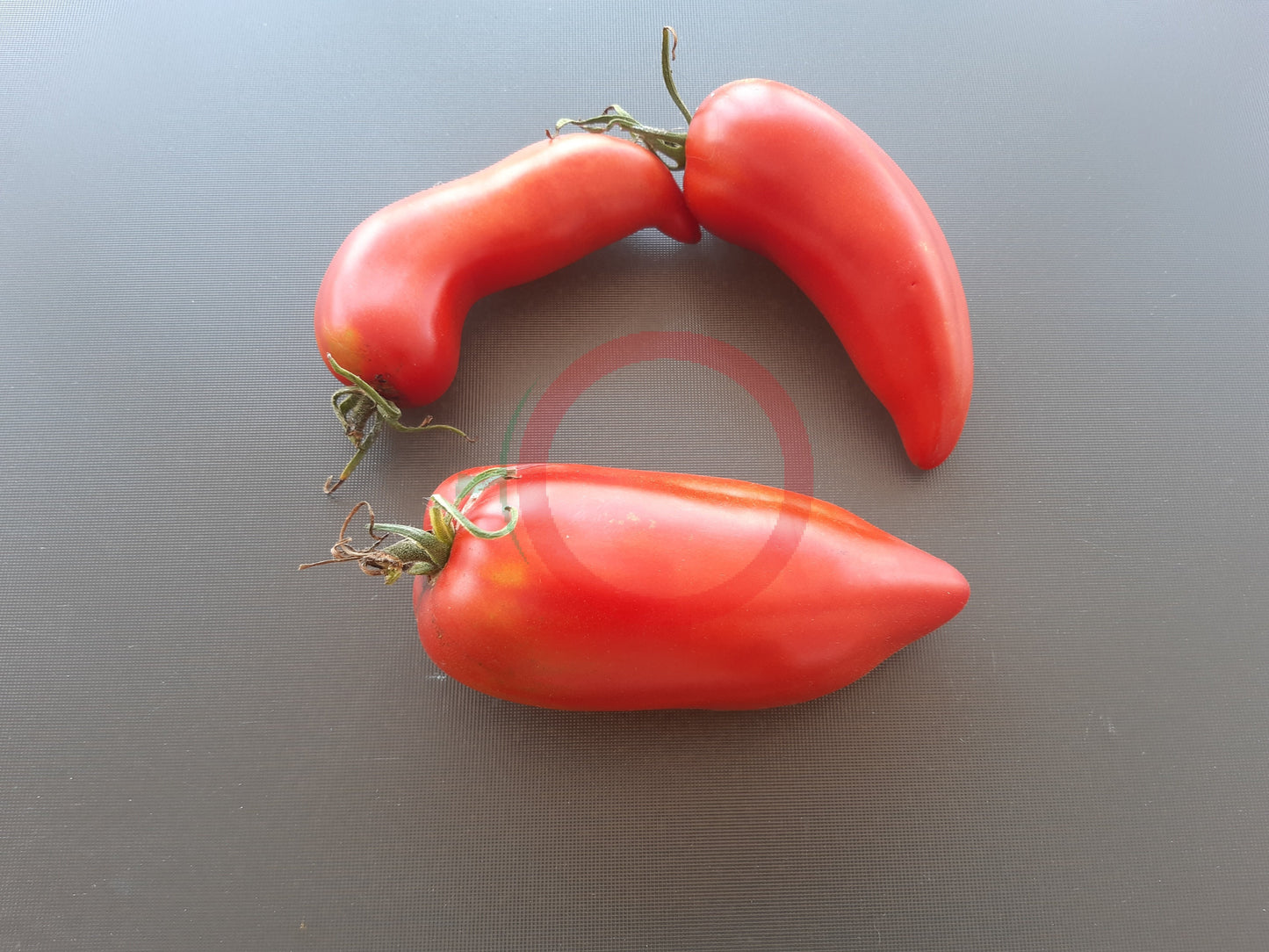 Dyadya Styopa DER TOMATENFLÜSTERER