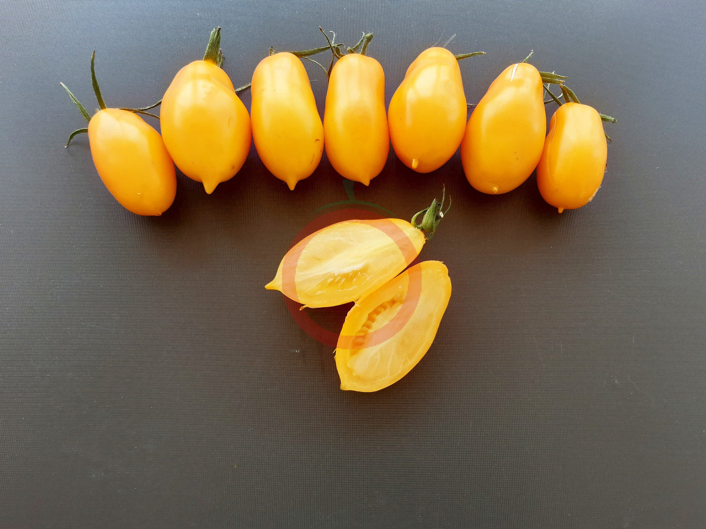 Eiszäpfchen DER TOMATENFLÜSTERER