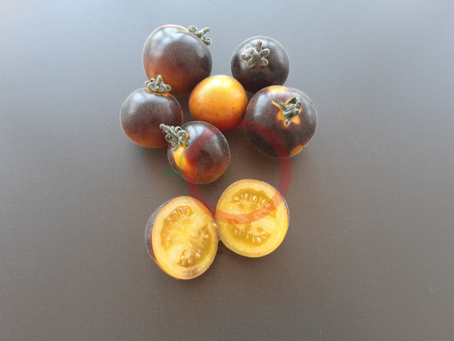 Elma Blue DER TOMATENFLÜSTERER