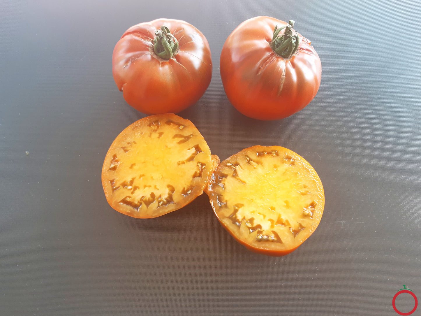 Elser Farm´s Brown Derby DER TOMATENFLÜSTERER