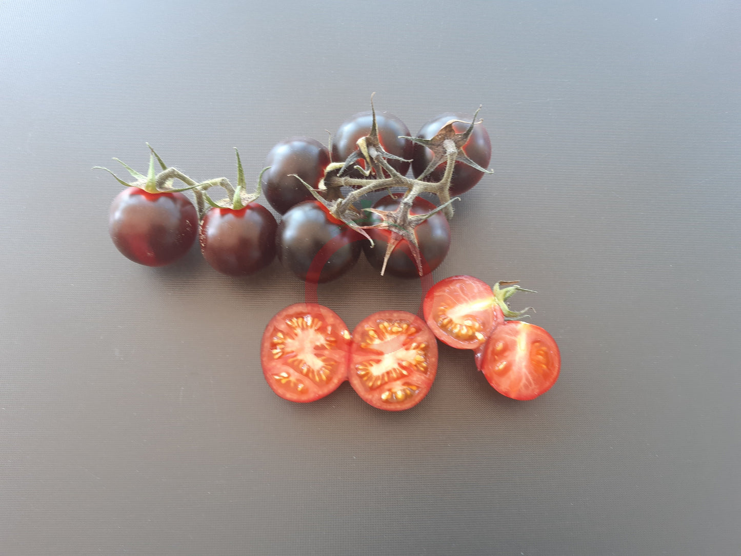 Fahrenheit Blues DER TOMATENFLÜSTERER