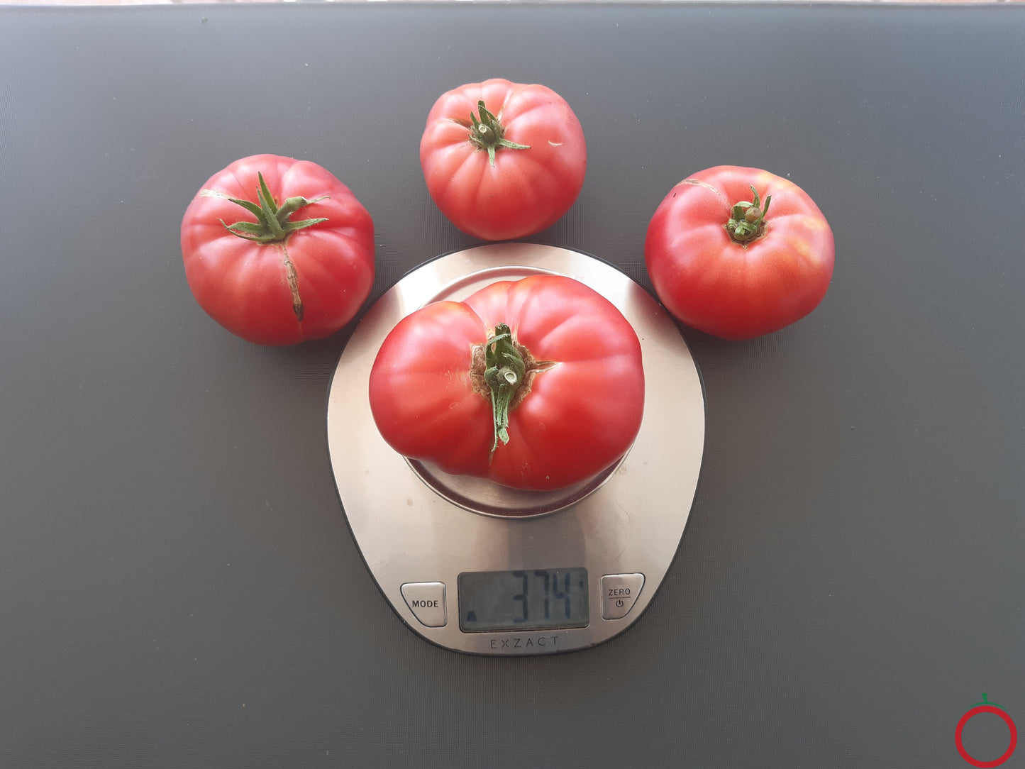 Flin Flon DER TOMATENFLÜSTERER