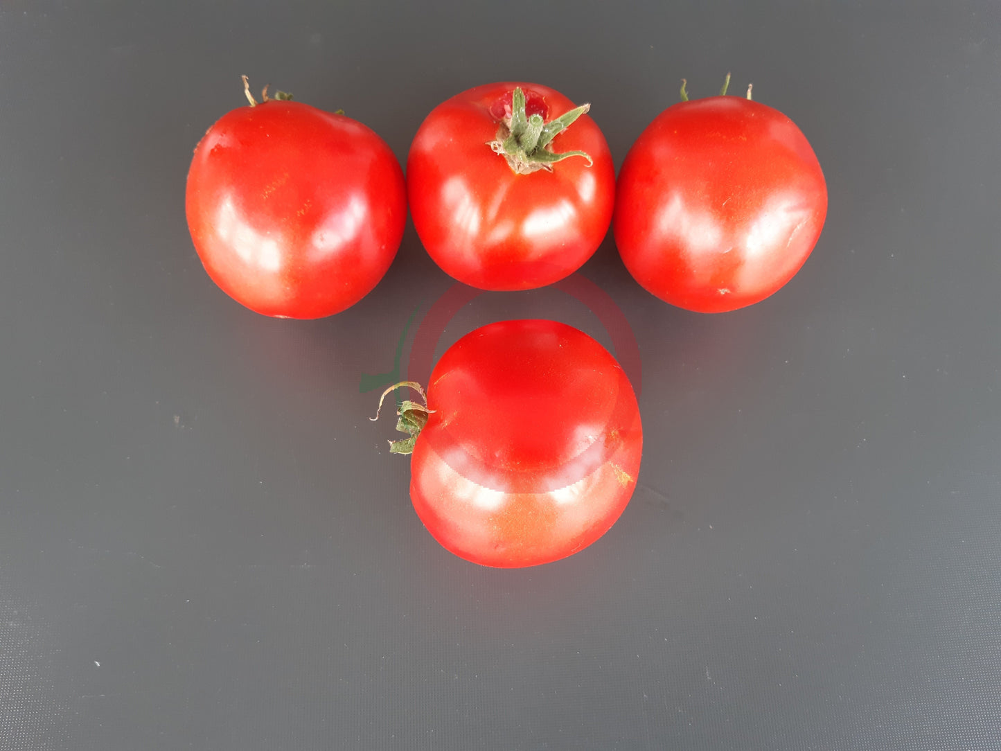 Frau Gruber Groß DER TOMATENFLÜSTERER