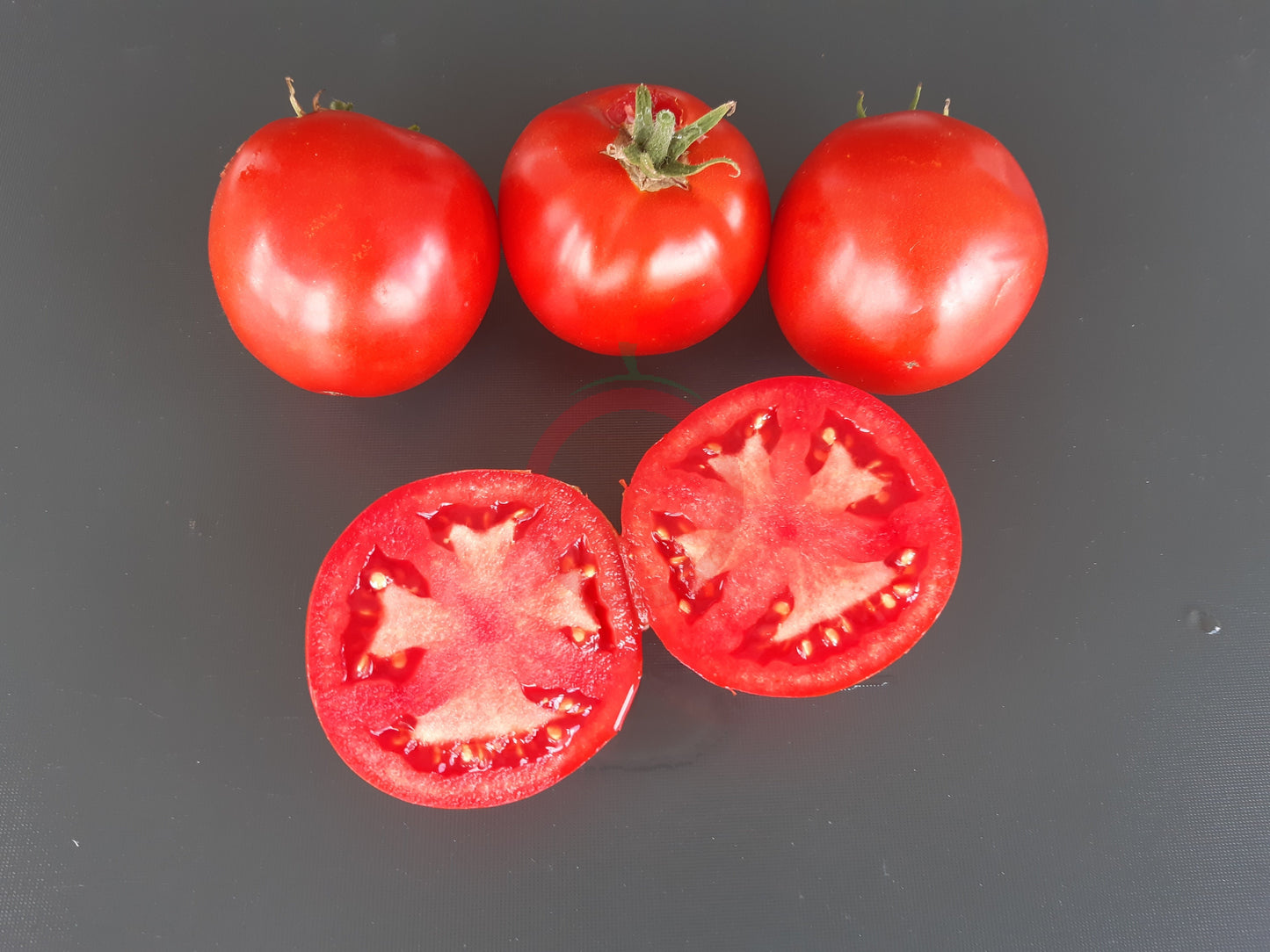 Frau Gruber Groß DER TOMATENFLÜSTERER