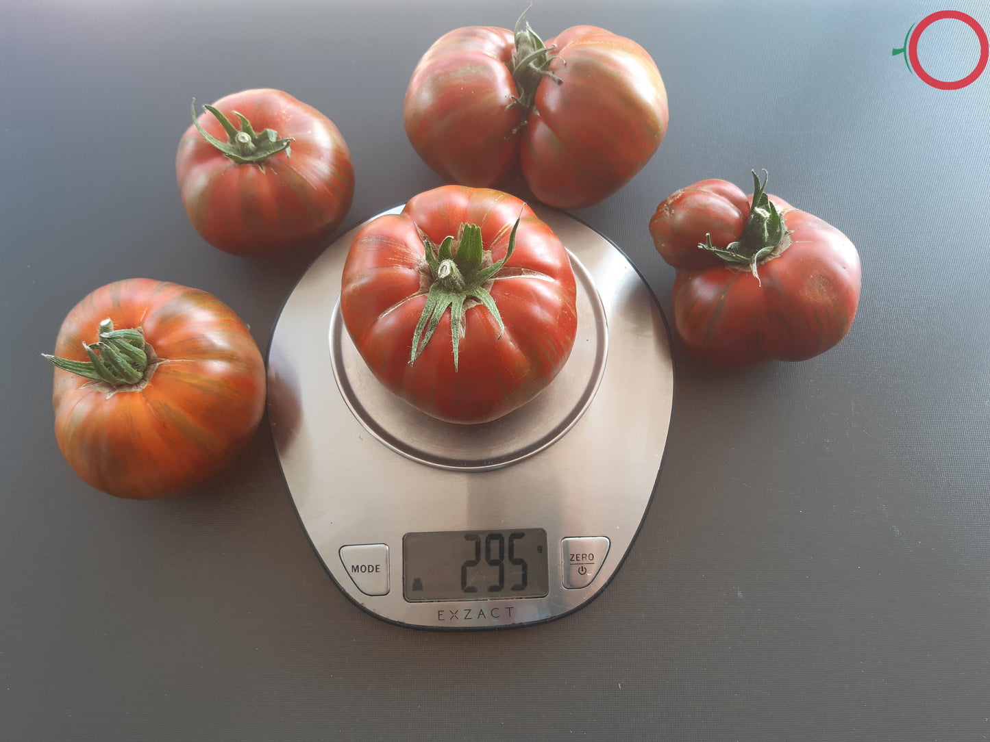 Girl Girls Weird Thing DER TOMATENFLÜSTERER