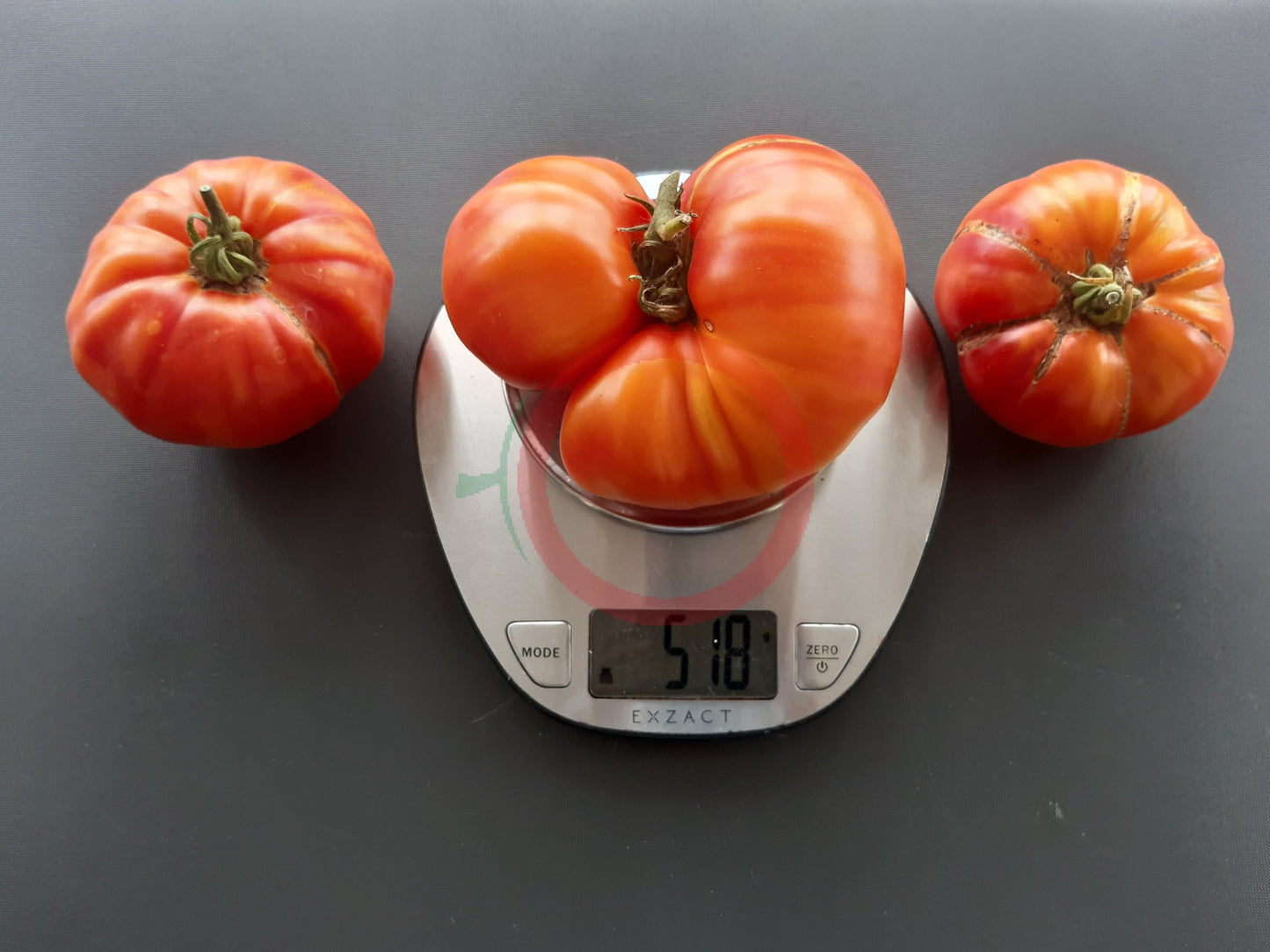 Grandma Viney´s Yellow & Pink DER TOMATENFLÜSTERER