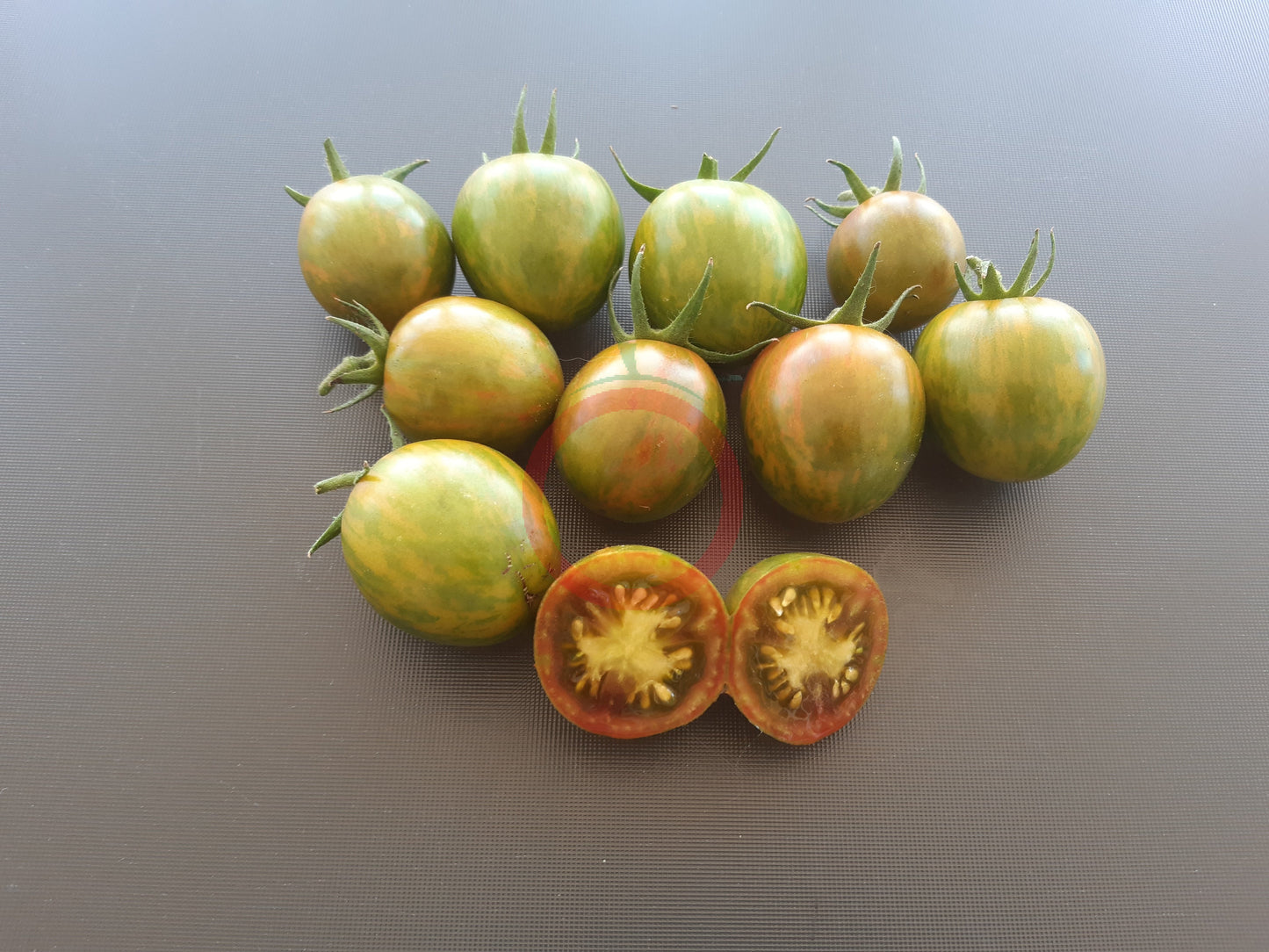 Green Bumble Bee DER TOMATENFLÜSTERER