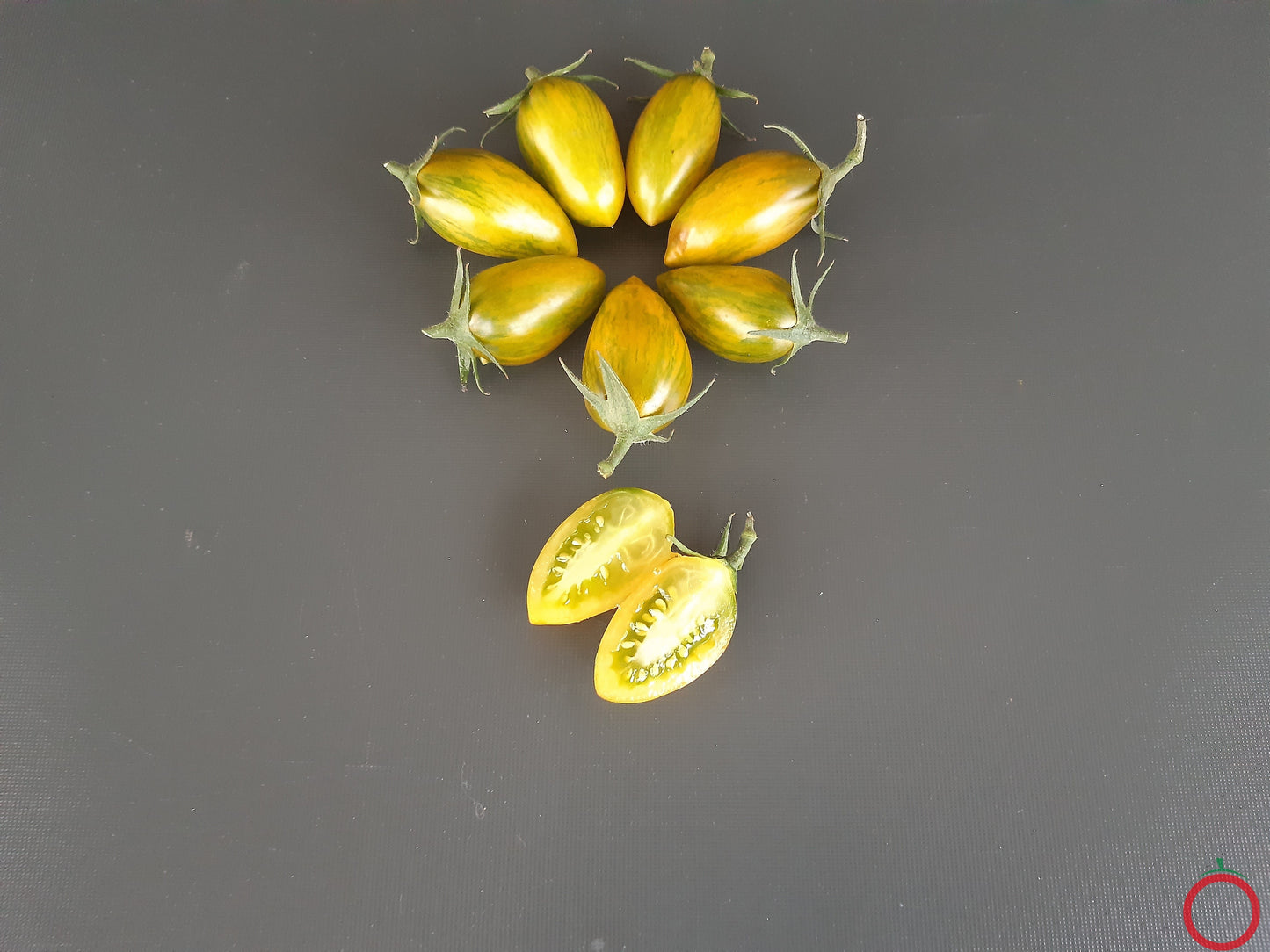 Green Tiger DER TOMATENFLÜSTERER