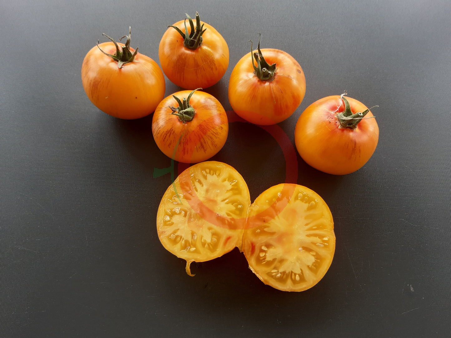 Grungy in the Sky Bicolor DER TOMATENFLÜSTERER