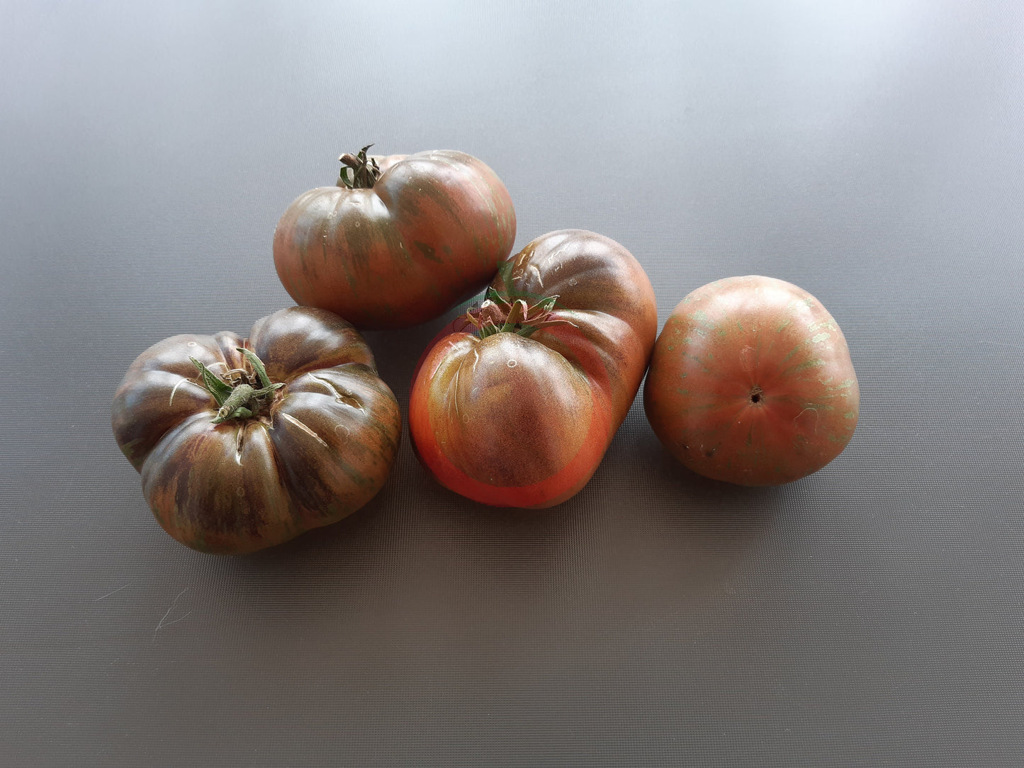 Gunmetal Grey DER TOMATENFLÜSTERER