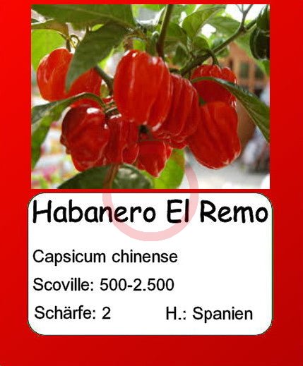 120 Semi delle 12 Varianti - Collezione Habanero 120 Semi delle 12 Varianti - Collezione Habanero