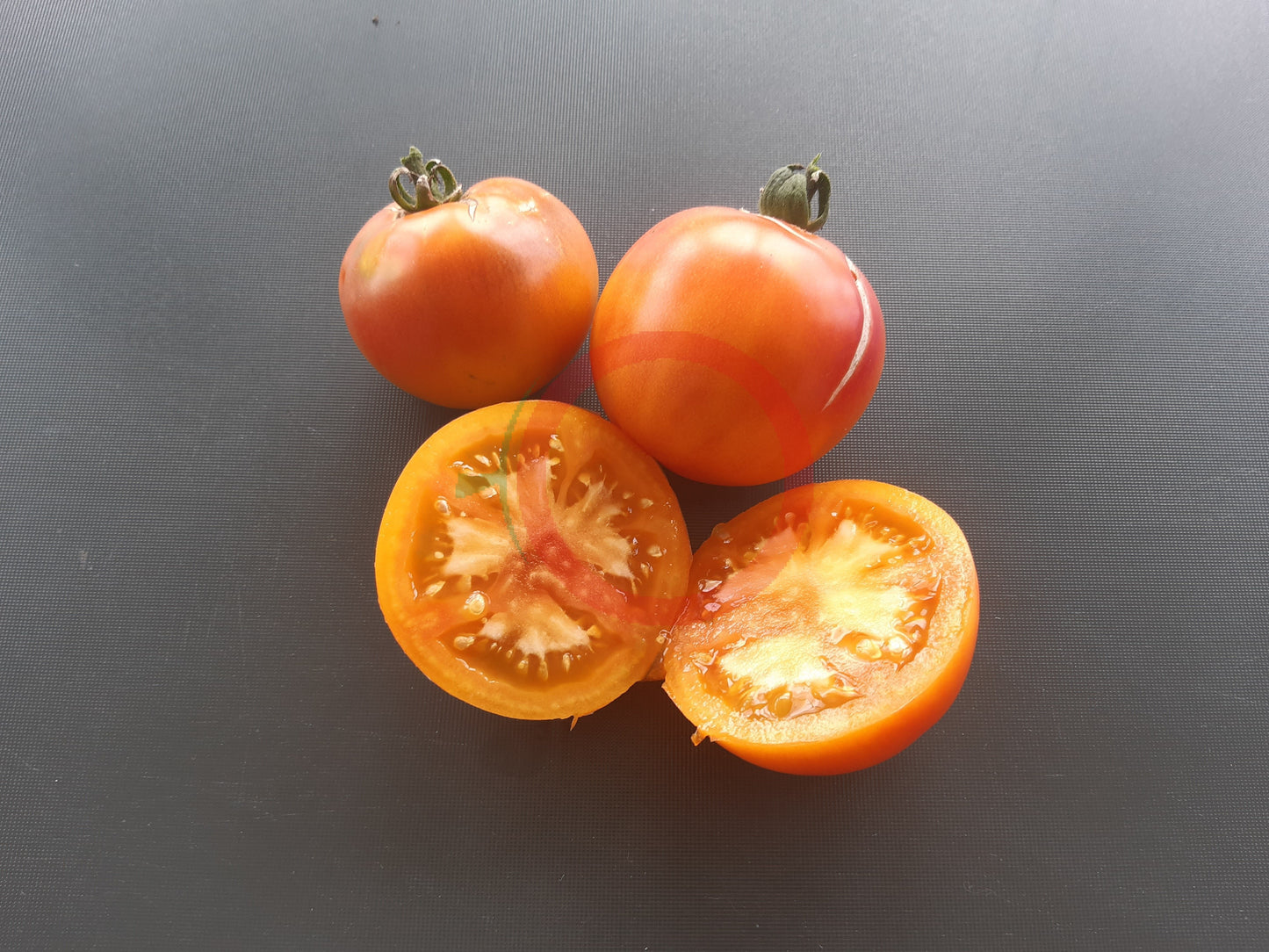 Have a Cigar DER TOMATENFLÜSTERER