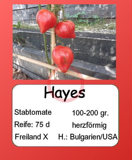 Hayes DER TOMATENFLÜSTERER