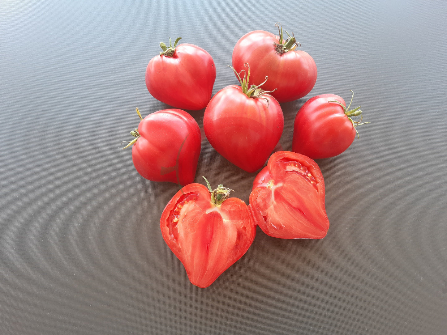 Hayes DER TOMATENFLÜSTERER