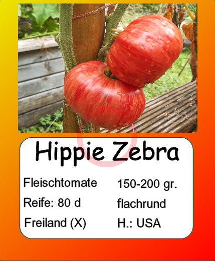 Hippie Zebra DER TOMATENFLÜSTERER