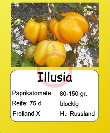 Illusia DER TOMATENFLÜSTERER
