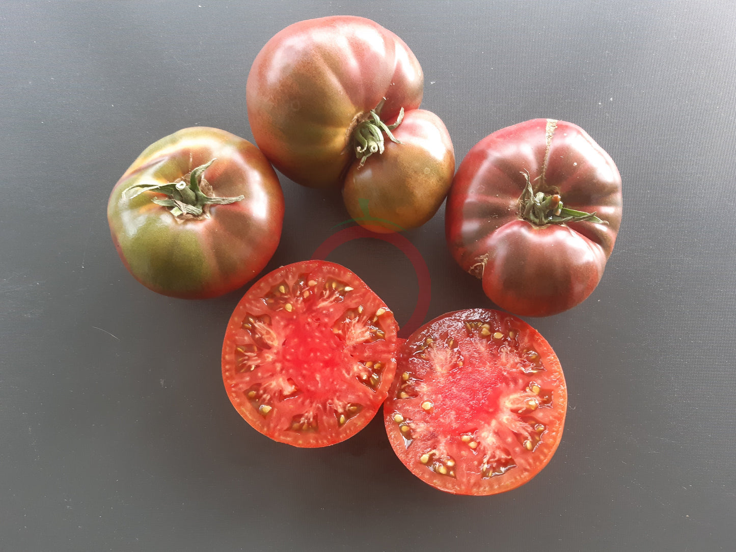 Indian Stripe DER TOMATENFLÜSTERER
