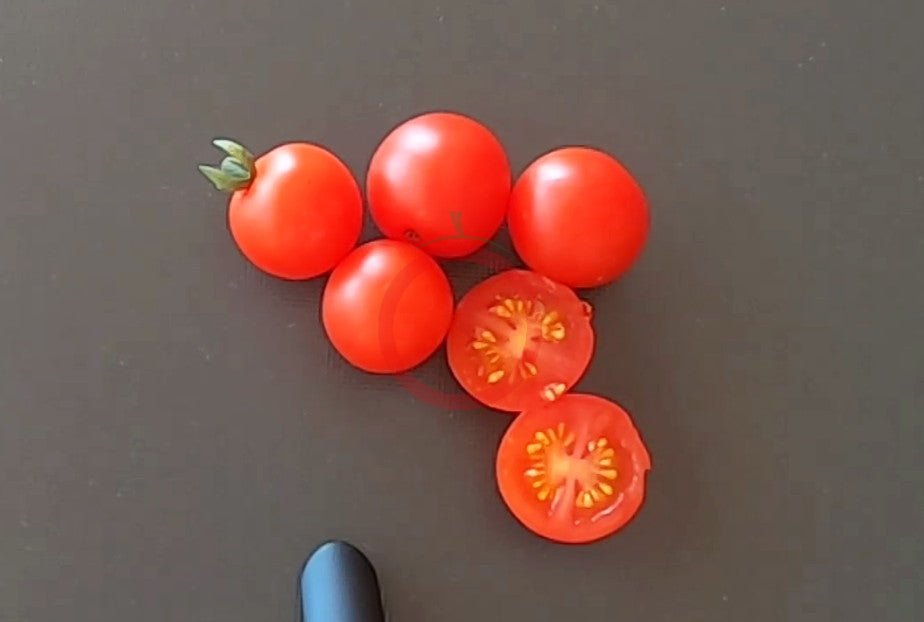 Iva´s Red Berry DER TOMATENFLÜSTERER