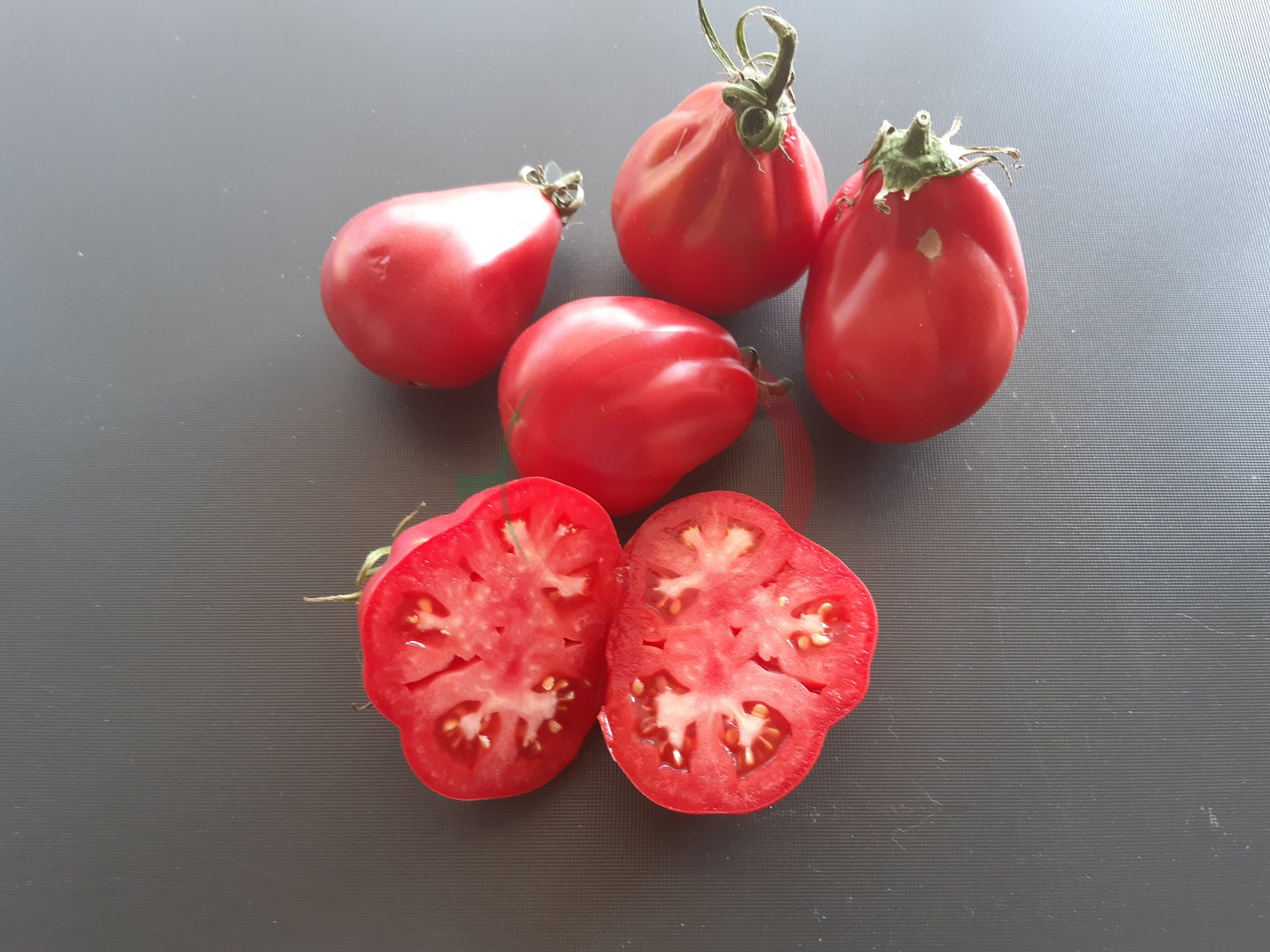Ivan Kupala DER TOMATENFLÜSTERER