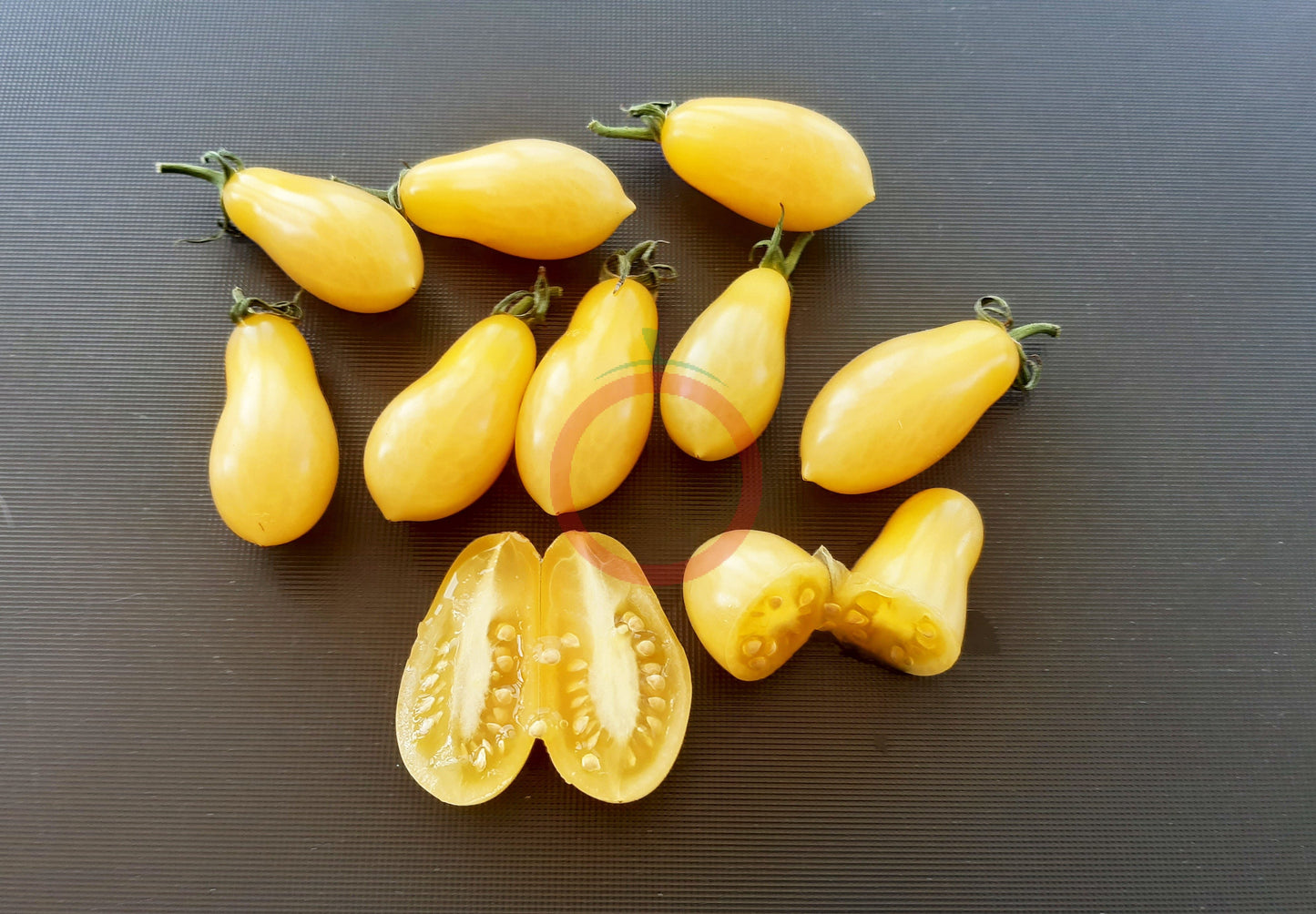Ivory Tears DER TOMATENFLÜSTERER