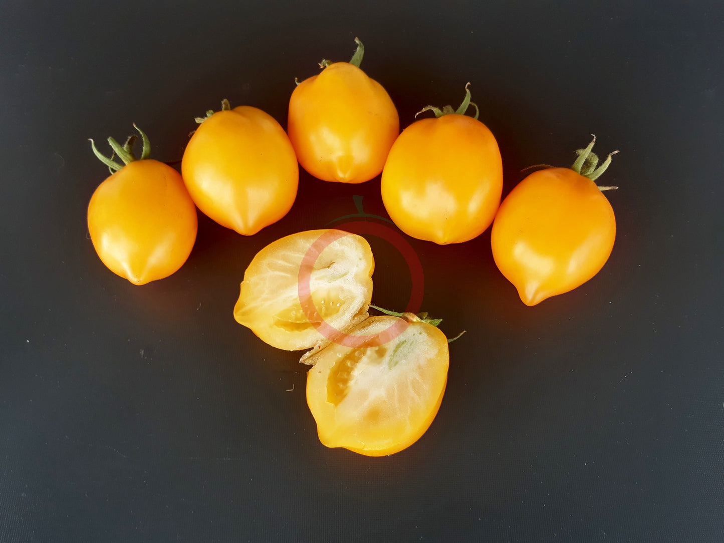 Jardin D´Agrumes DER TOMATENFLÜSTERER