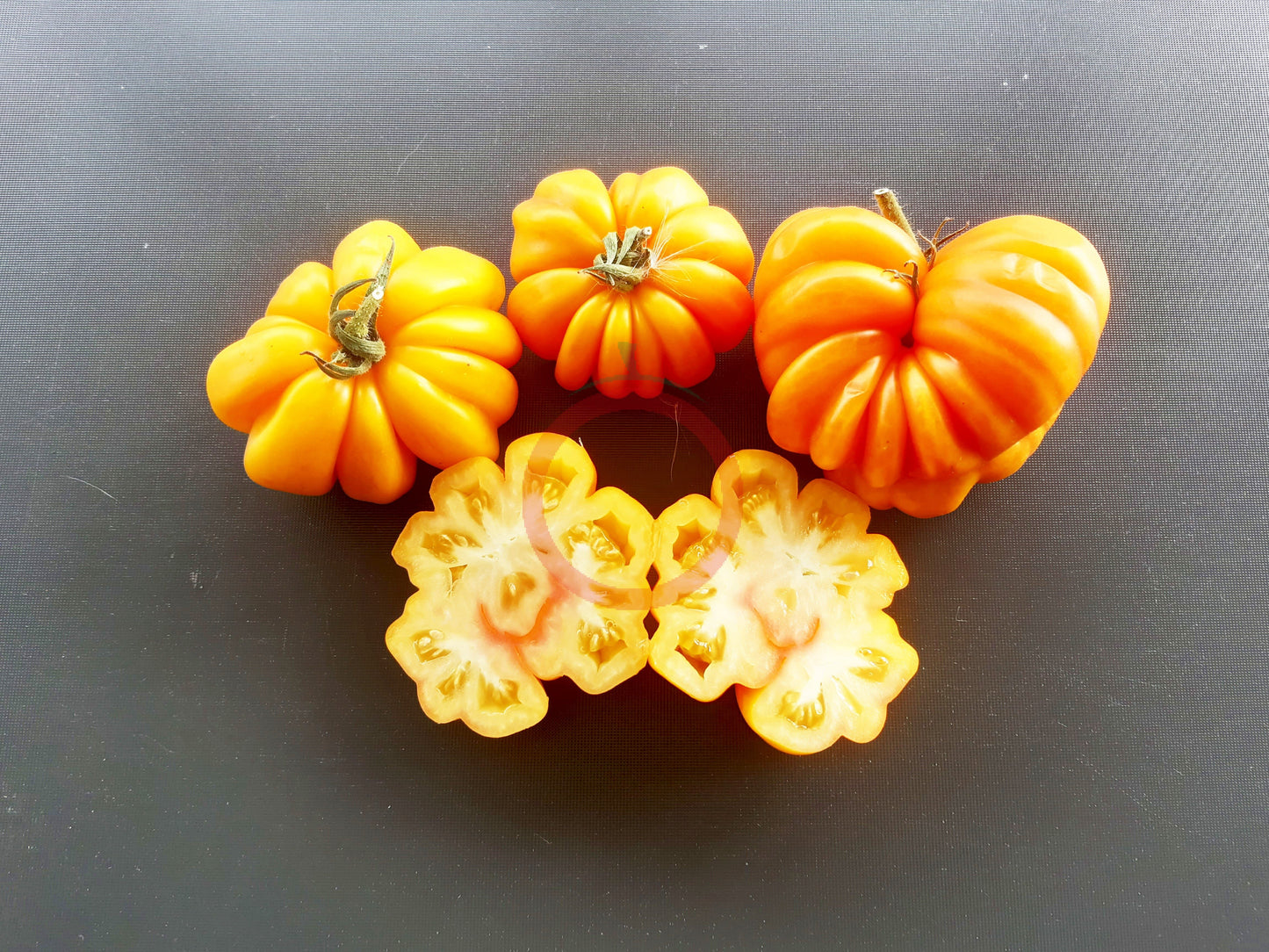 Jaune Côtelée de Montlouis DER TOMATENFLÜSTERER