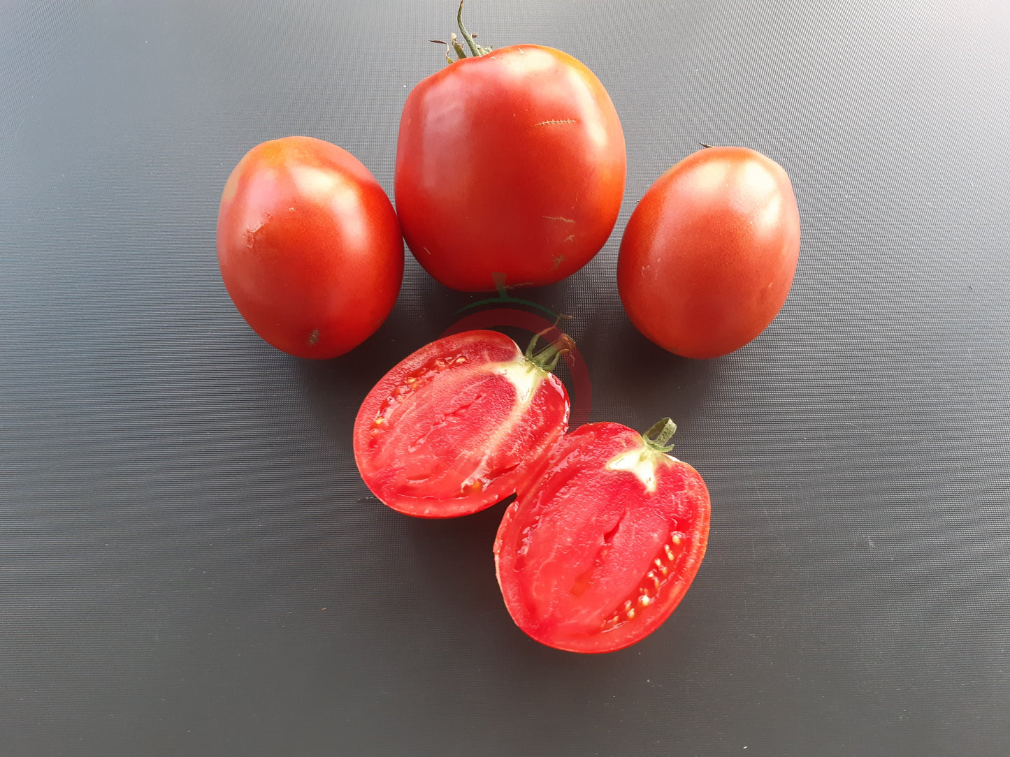 Khirhiv DER TOMATENFLÜSTERER