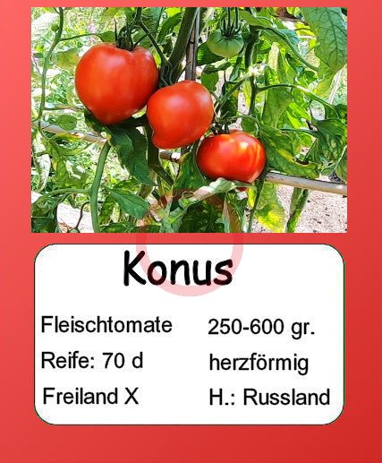 Konus DER TOMATENFLÜSTERER