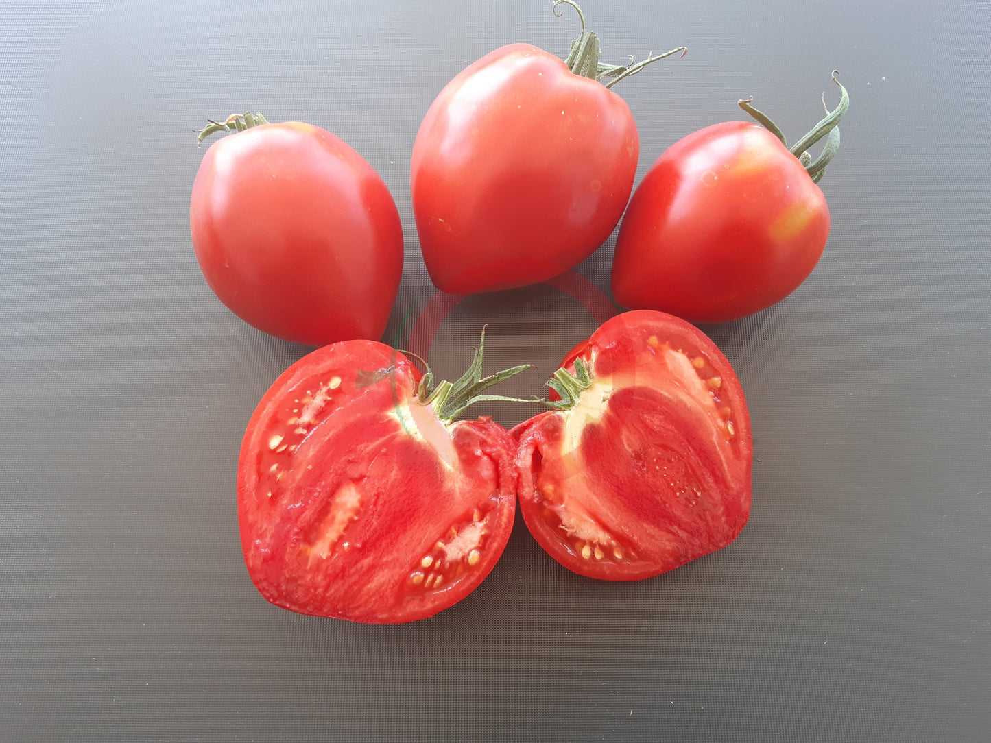 Konus DER TOMATENFLÜSTERER