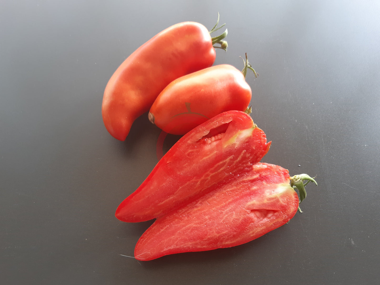 Langer Erwin DER TOMATENFLÜSTERER