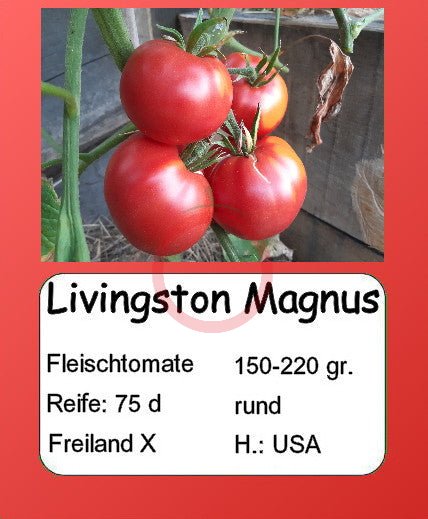Livingston Magnus DER TOMATENFLÜSTERER
