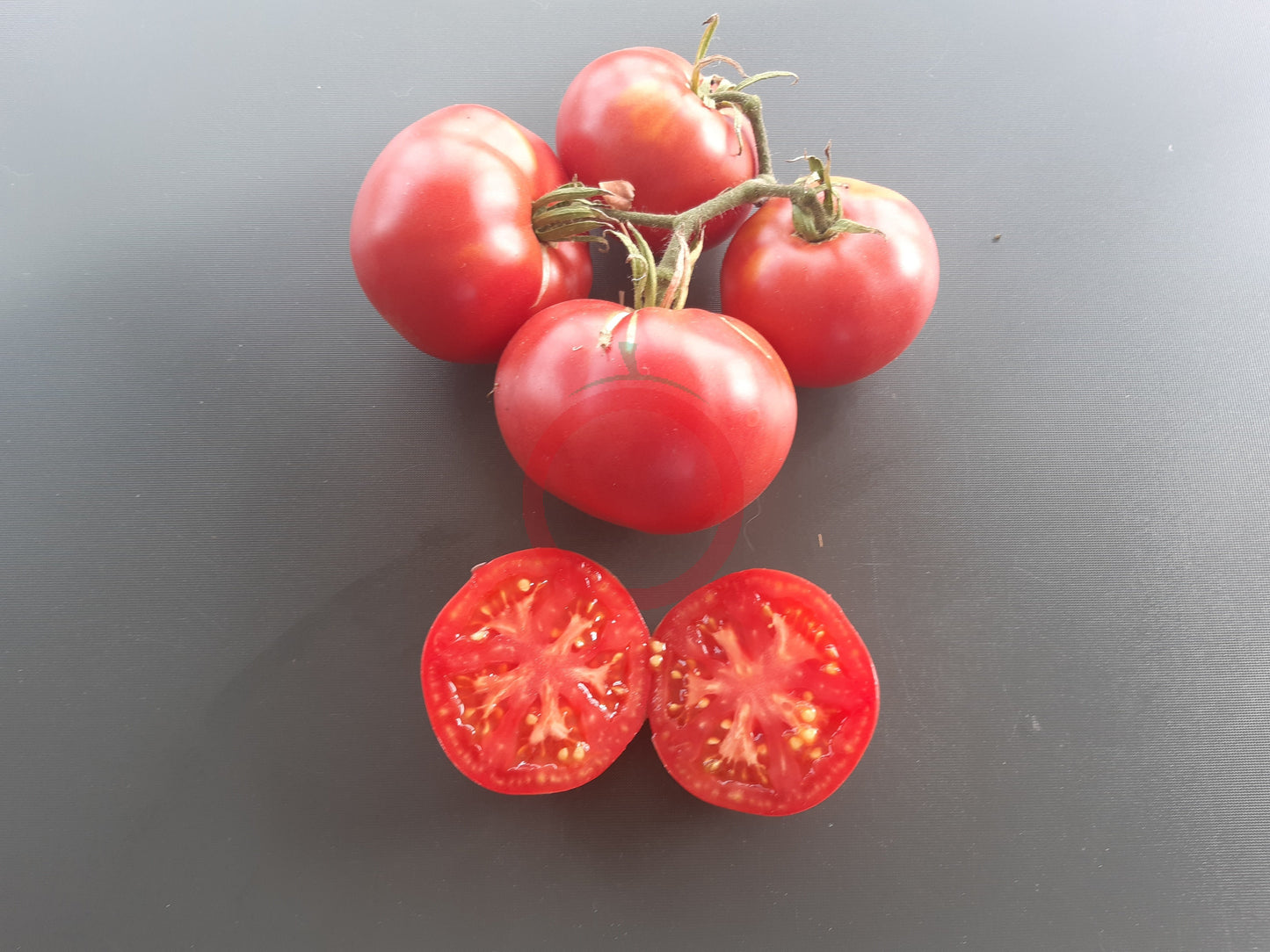 Livingston Magnus DER TOMATENFLÜSTERER