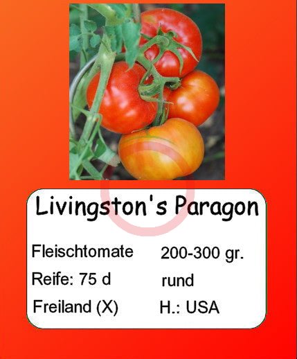 Livingston's Paragon DER TOMATENFLÜSTERER