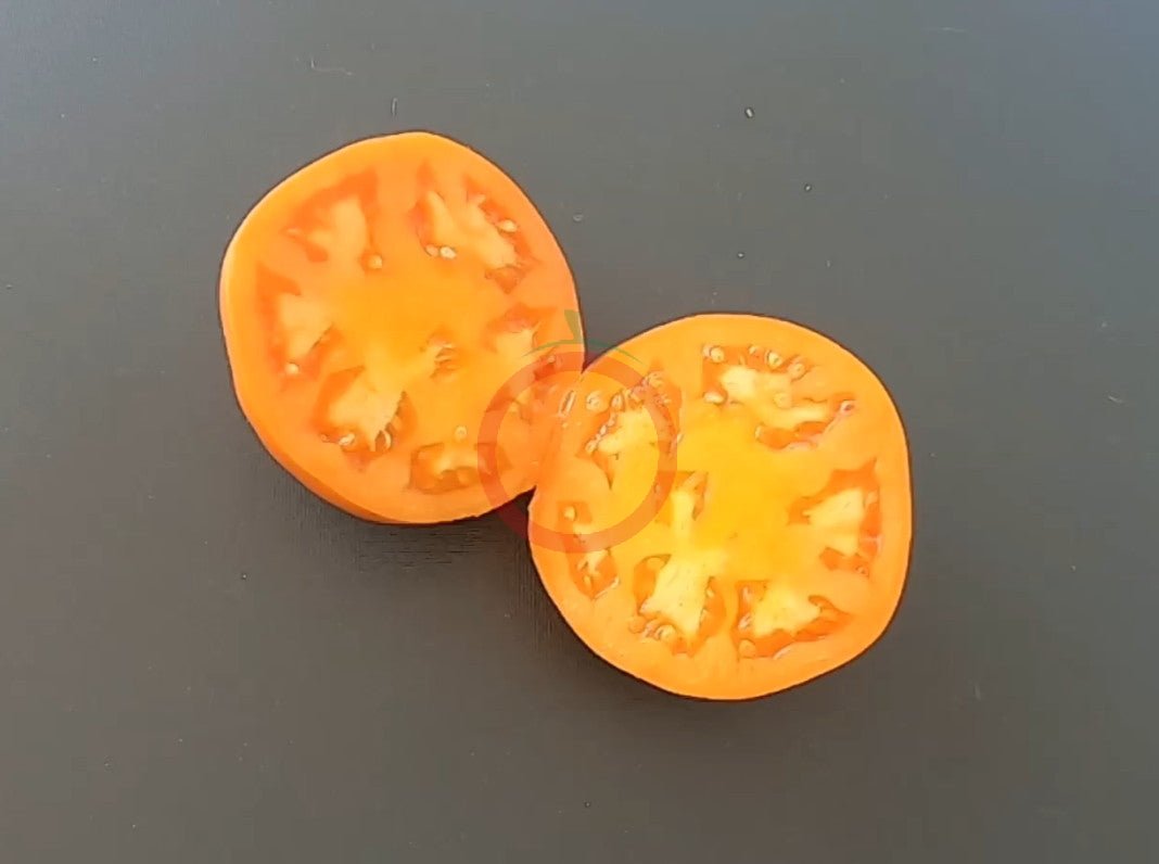 Magali Gelb DER TOMATENFLÜSTERER