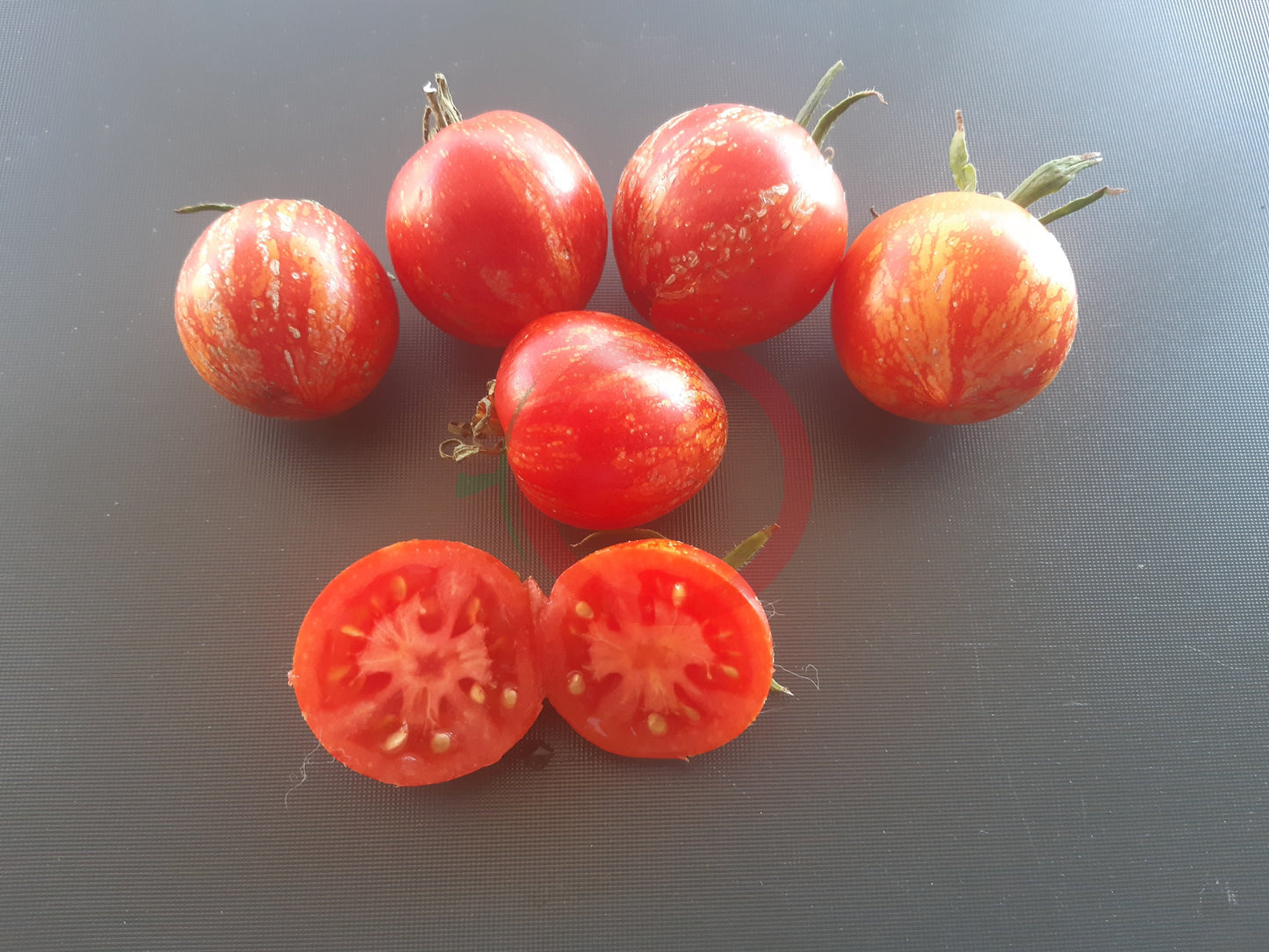 Maria Koller DER TOMATENFLÜSTERER
