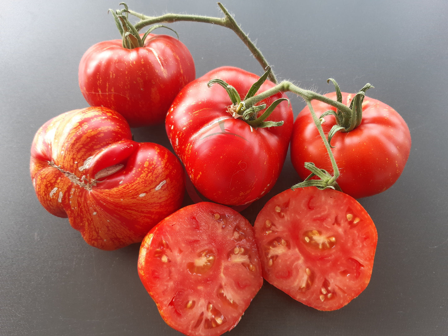 Marmande de Montpellier DER TOMATENFLÜSTERER