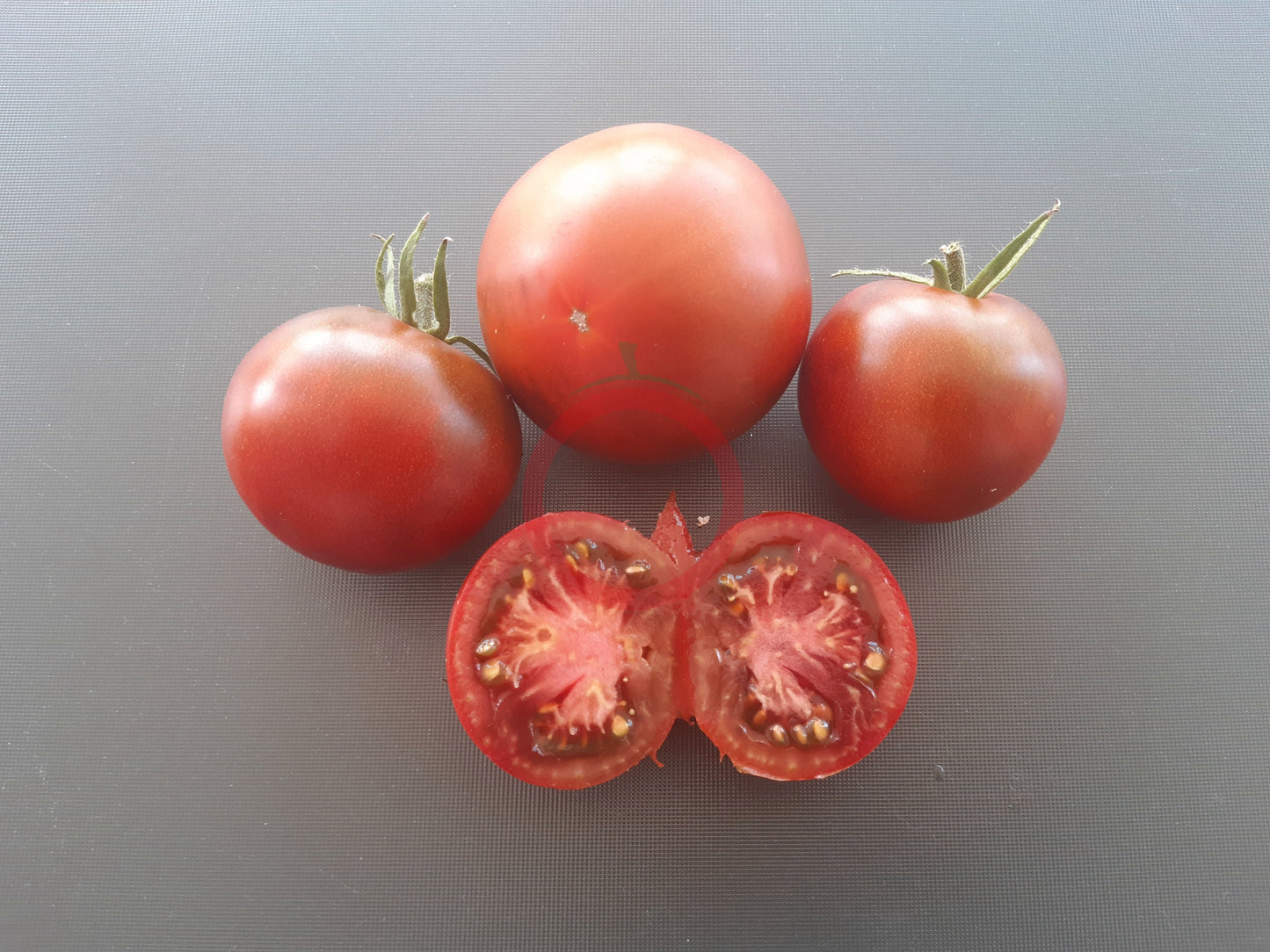 Marshmallow in Chocolate DER TOMATENFLÜSTERER