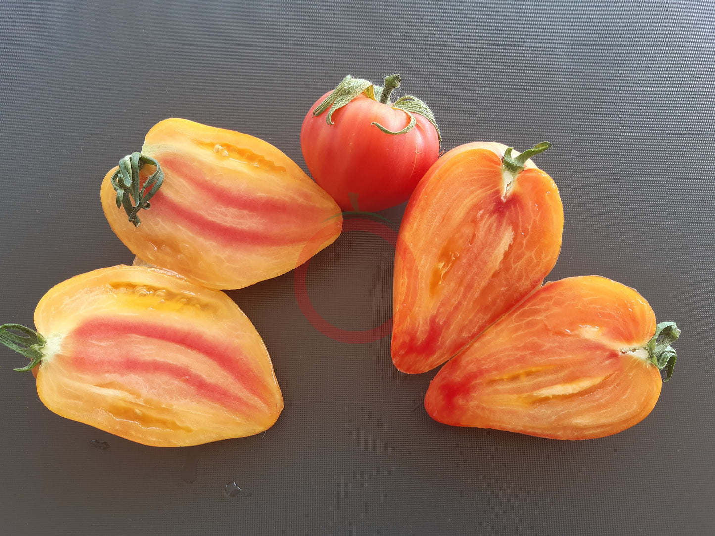 Midnight Sun DER TOMATENFLÜSTERER