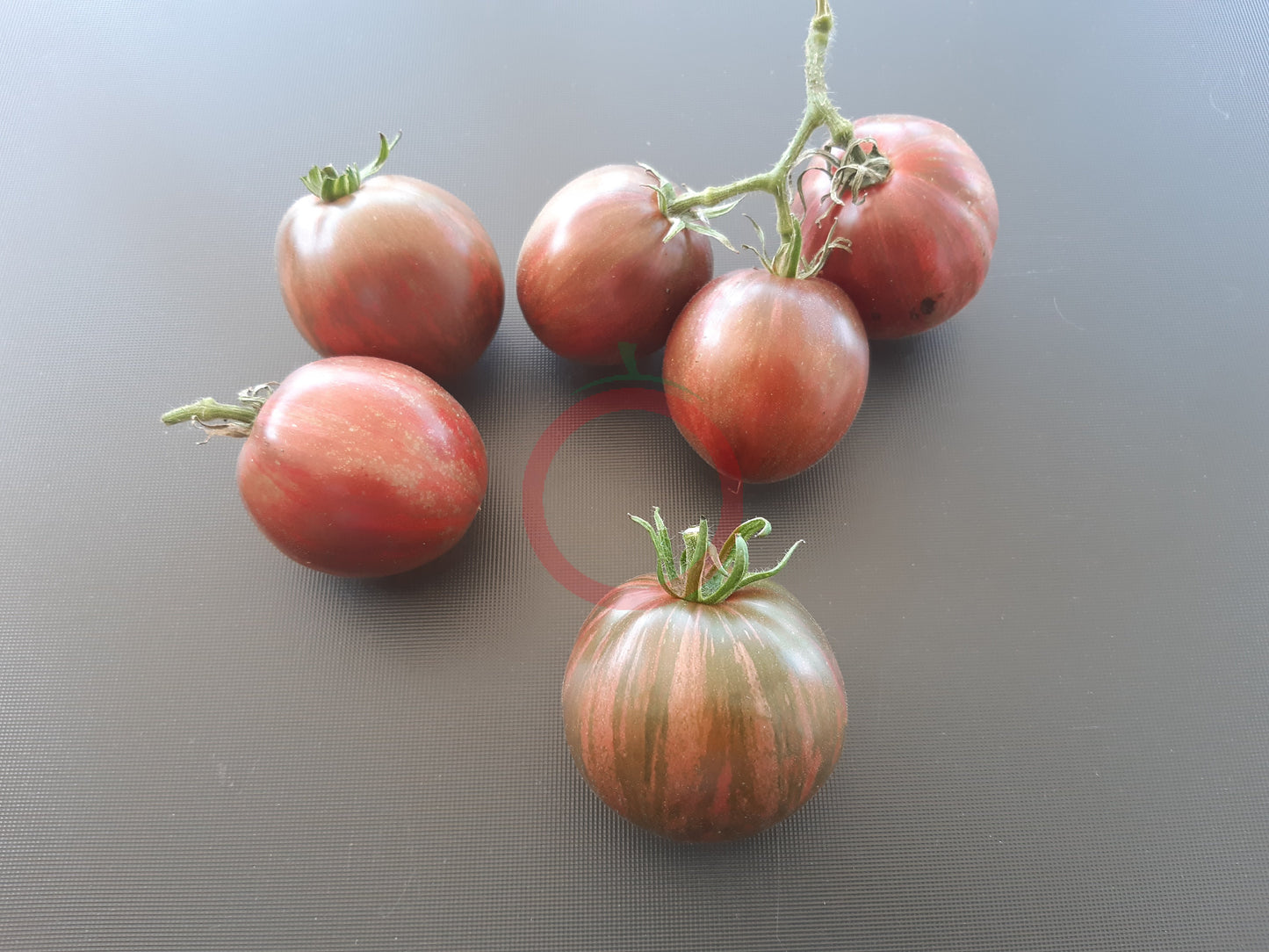 Moonlight Mile DER TOMATENFLÜSTERER