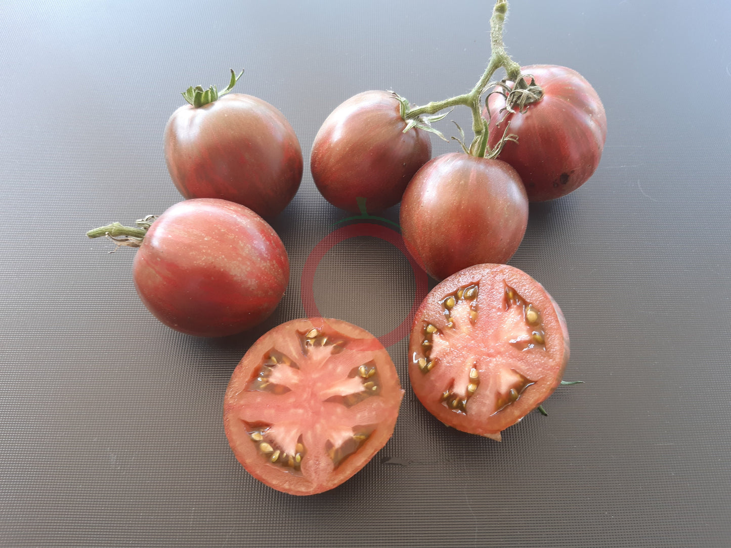 Moonlight Mile DER TOMATENFLÜSTERER