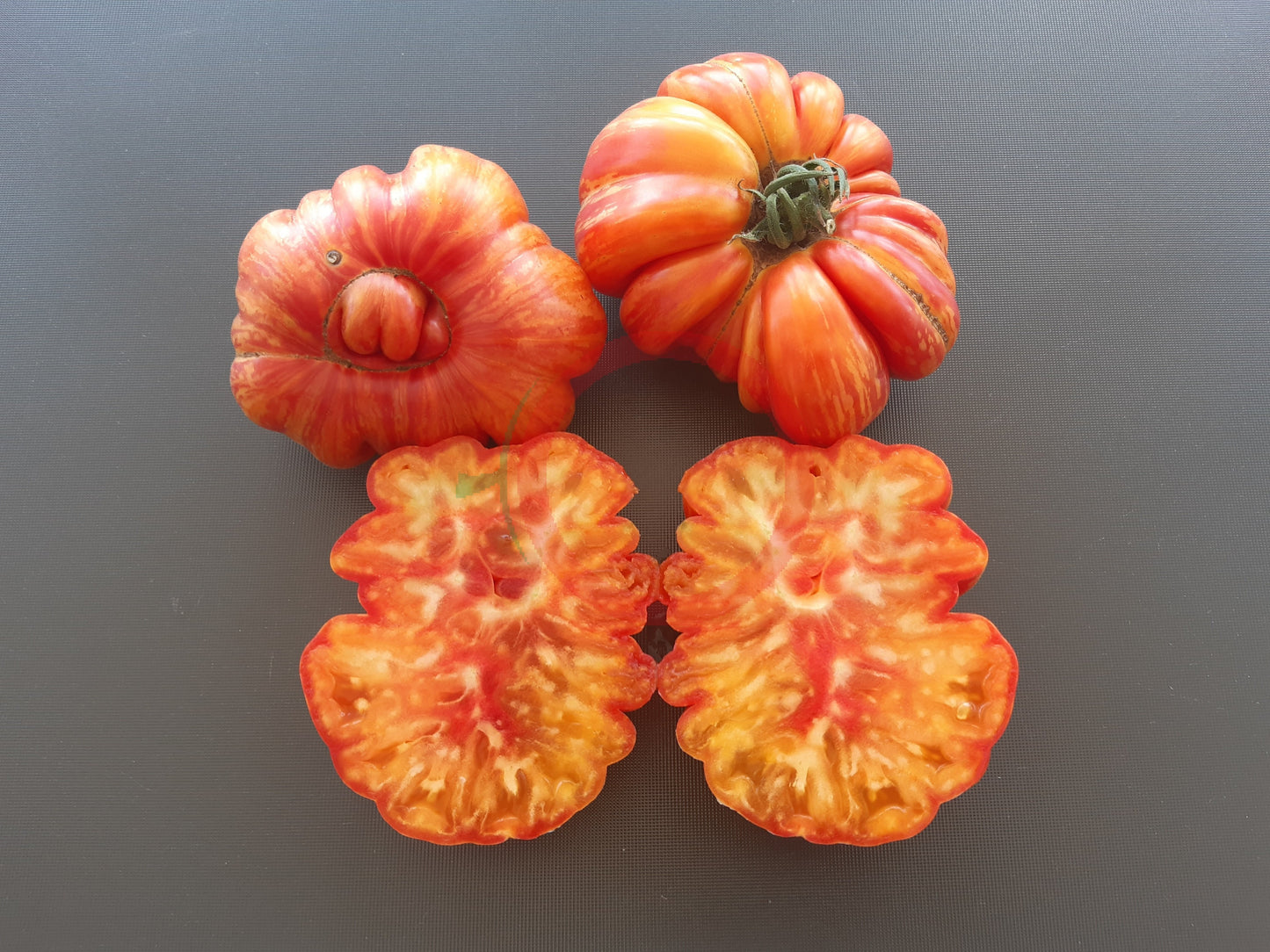 Mushroom Basket striped DER TOMATENFLÜSTERER