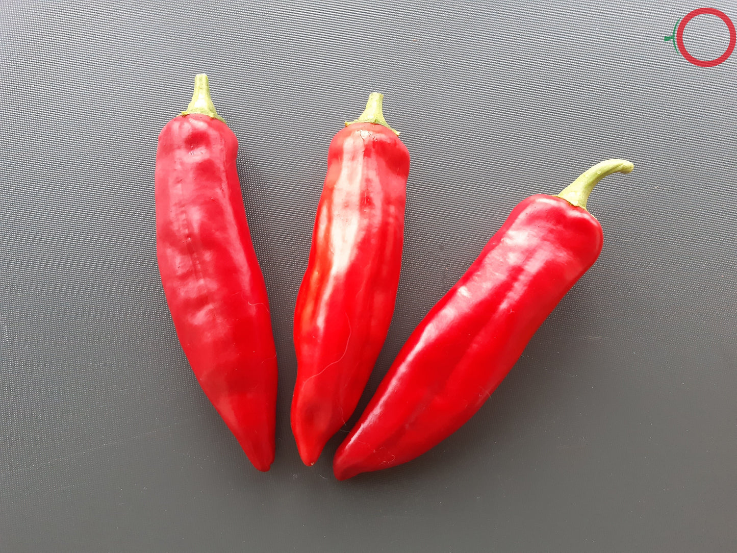 Numex 6-4 Heritage DER TOMATENFLÜSTERER