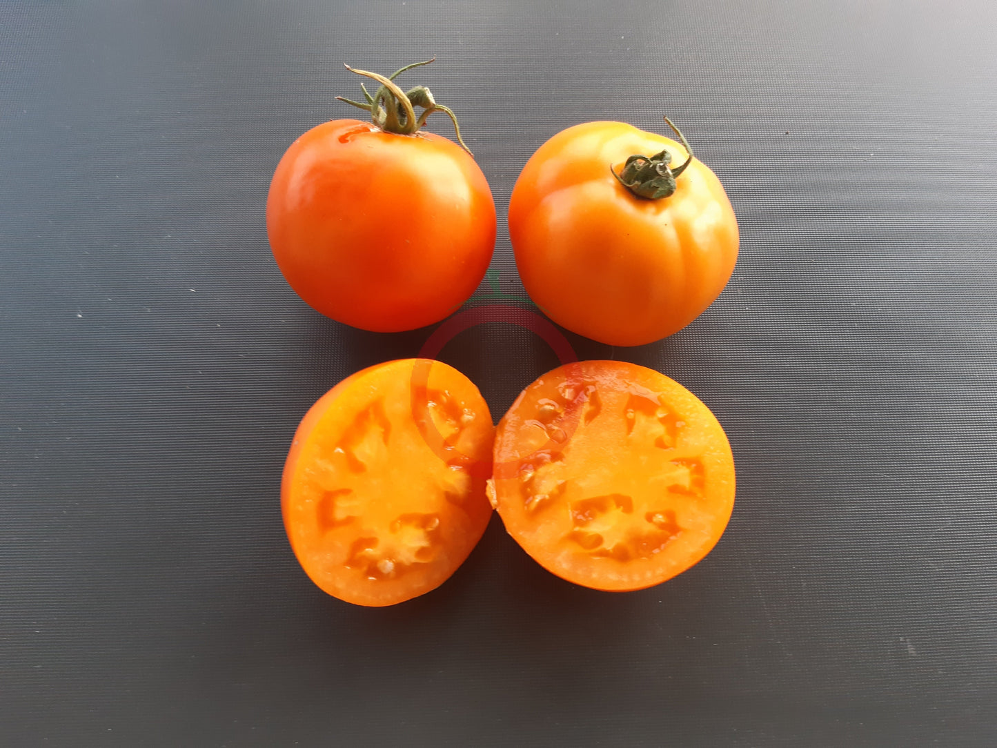 Olga´s Round Yellow Chicken DER TOMATENFLÜSTERER