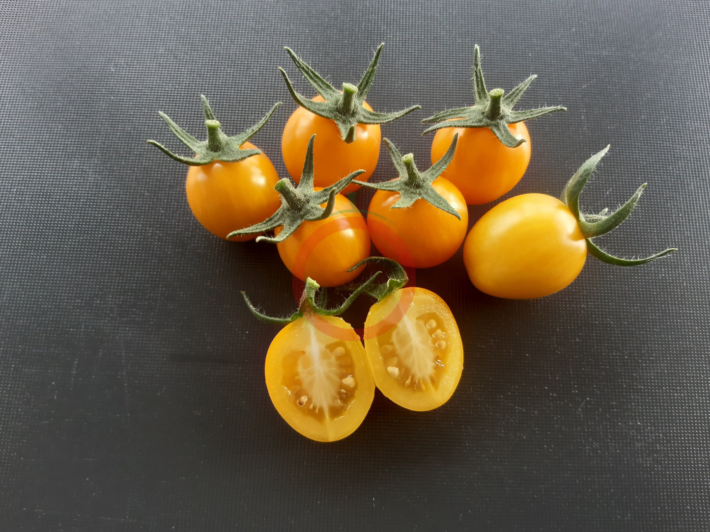 Olive Dorée DER TOMATENFLÜSTERER