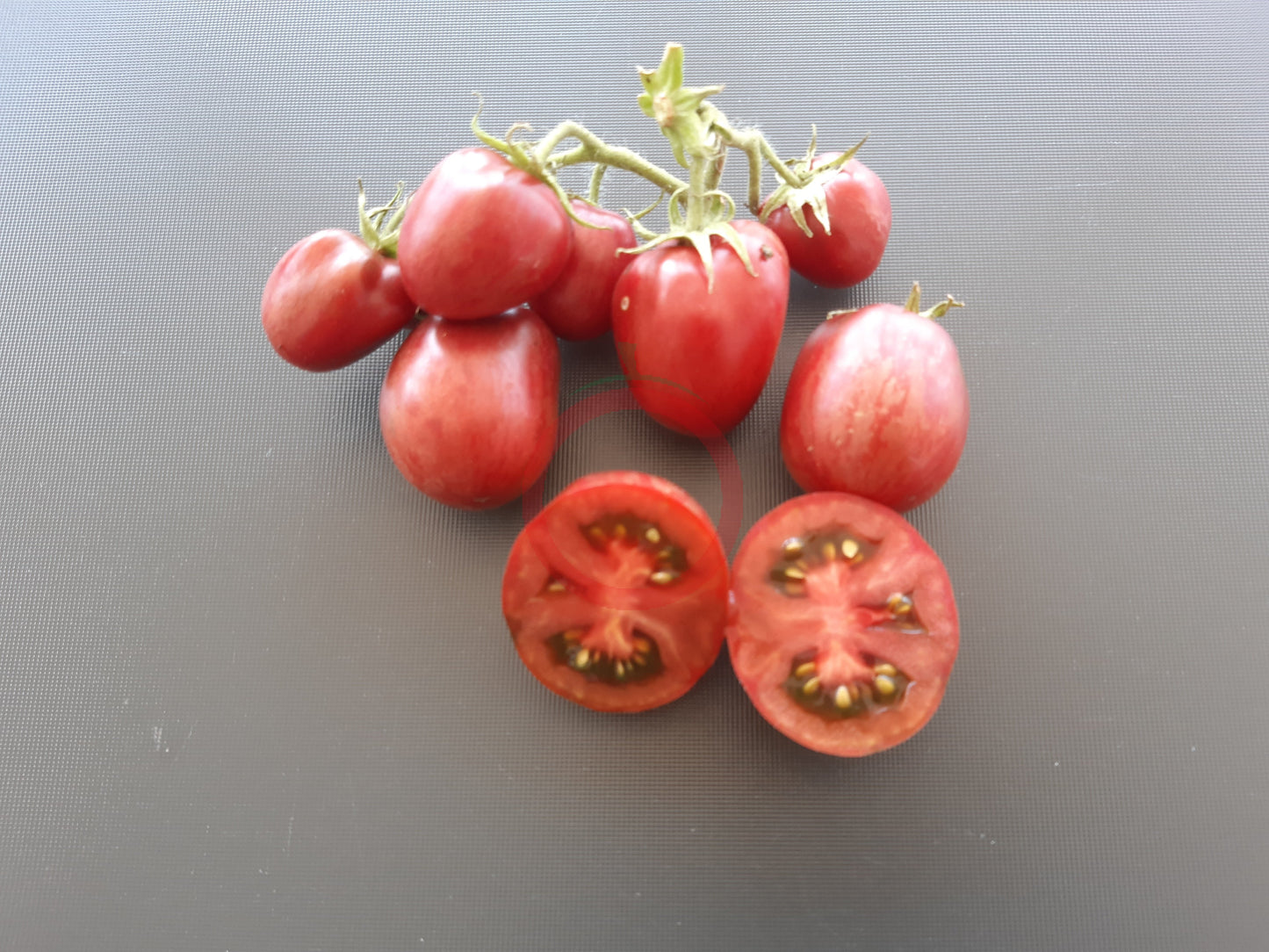 Orion´s Belt DER TOMATENFLÜSTERER