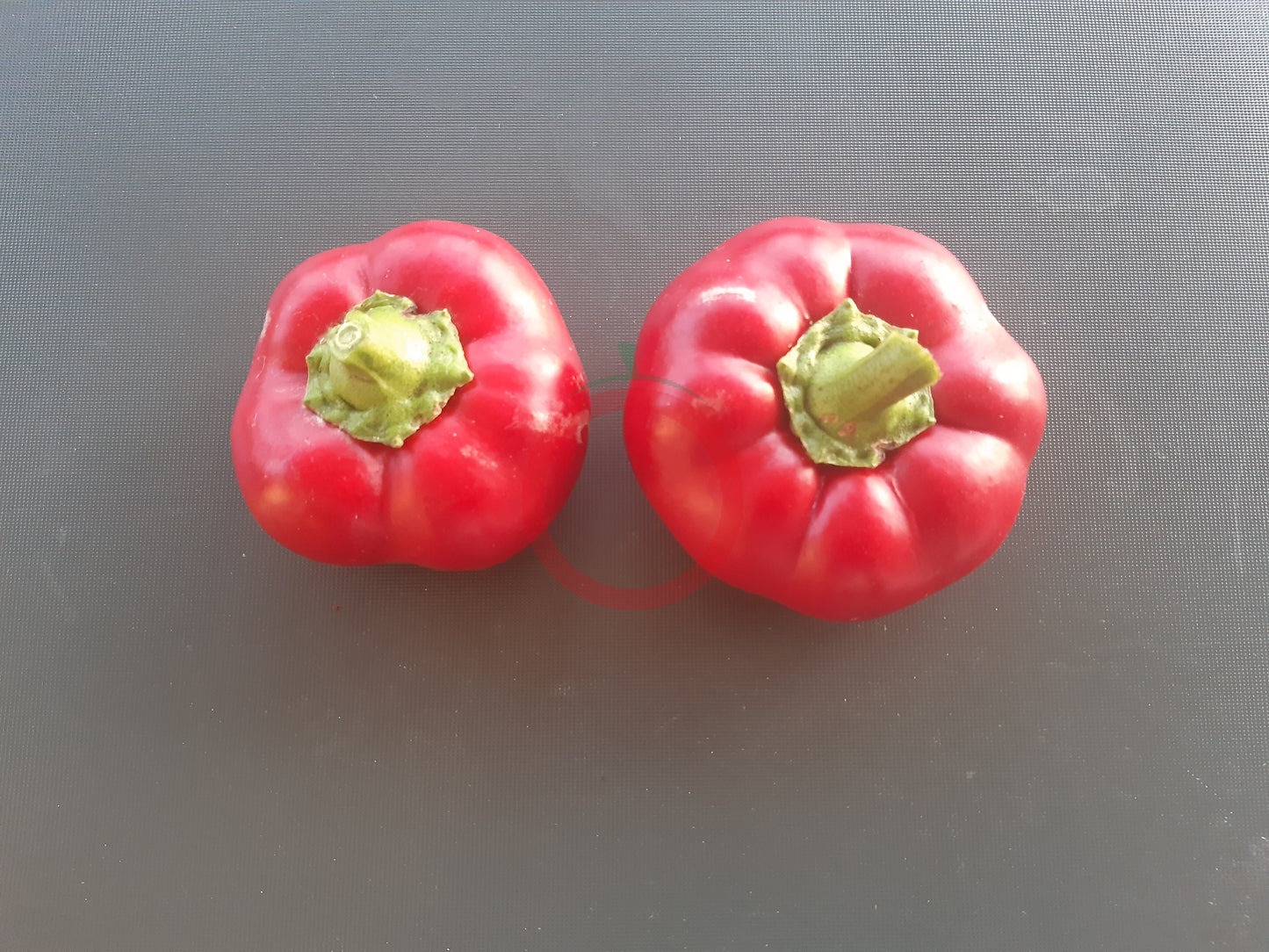 Paradeispaprika Stekovics DER TOMATENFLÜSTERER