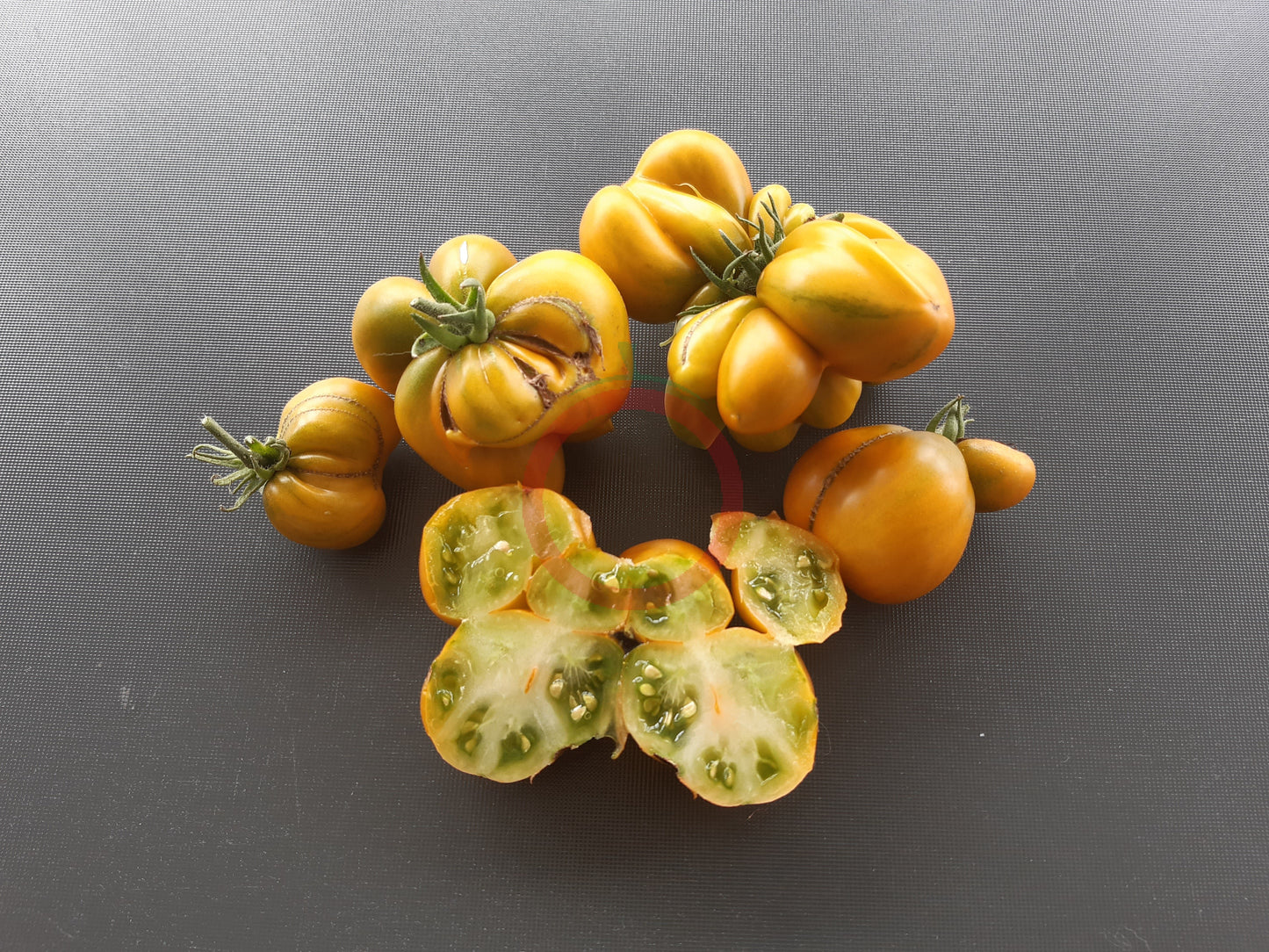 Phil´s Two DER TOMATENFLÜSTERER