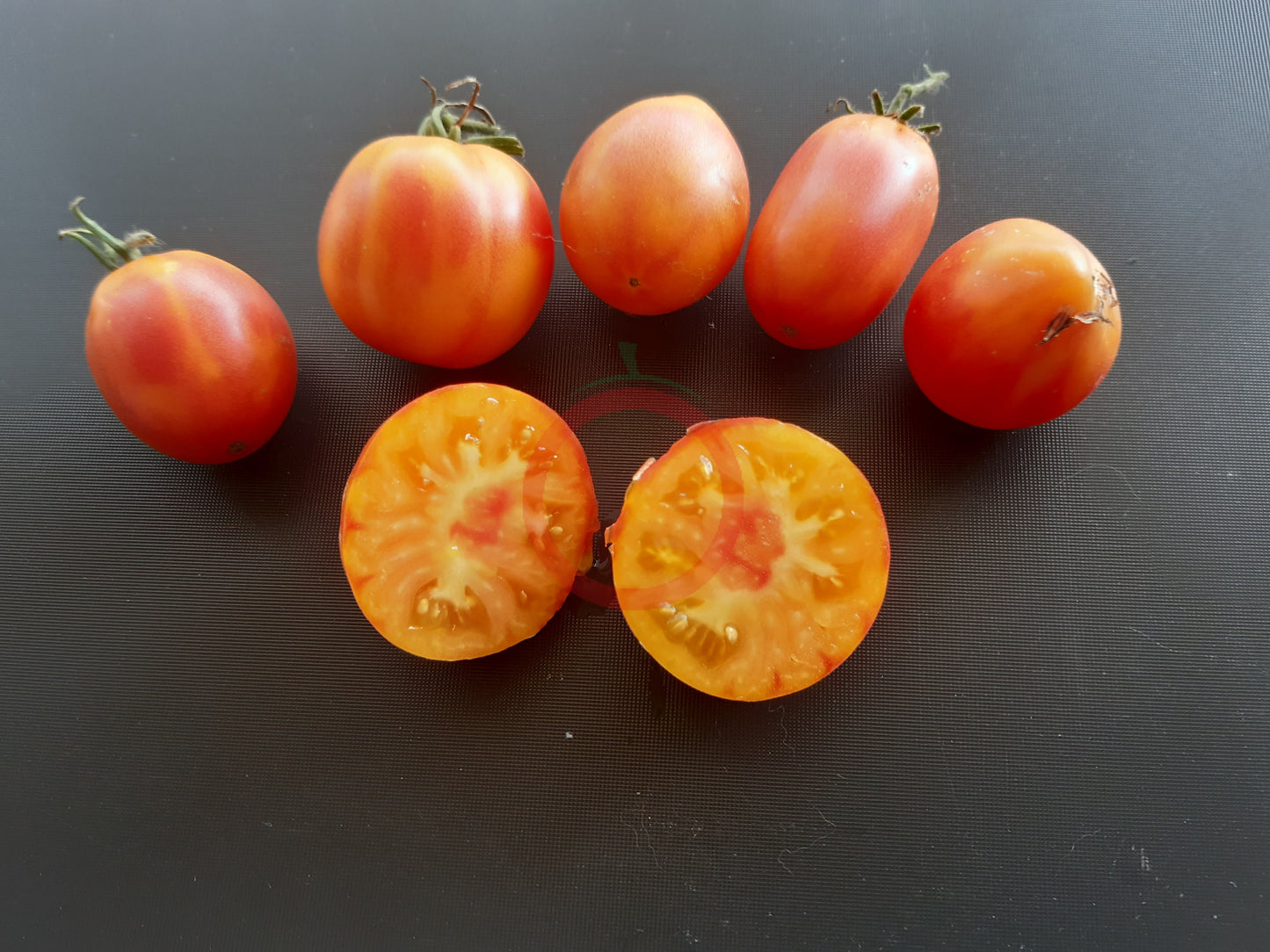 Piedmont Pear DER TOMATENFLÜSTERER